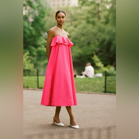 NWT Anthropologie Pink A-Line Flounce Midi Dress XS - Picture 1 of 10